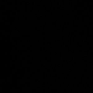 Meet your Posher, Braden